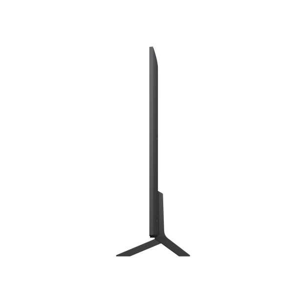 LG 나노셀 AI (스탠드형)
